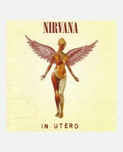 KOST Album Vinyle - NIRVANA