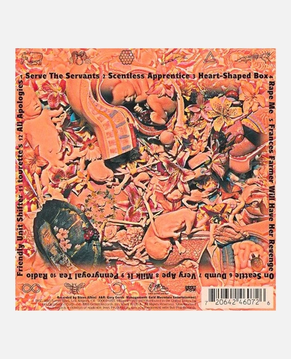 KOST Album Vinyle - NIRVANA 5 KOST Album Vinyle - NIRVANA – Image 3