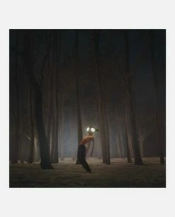 KOST Album Vinyle - GEESE