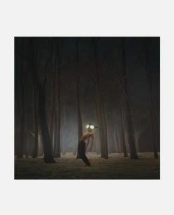 KOST Album Vinyle - GEESE -kost paris shop PROJECTOR 00 12 5918