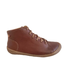 El Naturalista 5773 Pawikan