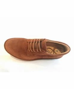 El Naturalista Forest Man 5743 -kost paris shop el naturalista n5743 2