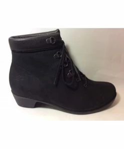 Loint's Of Holland Opéra